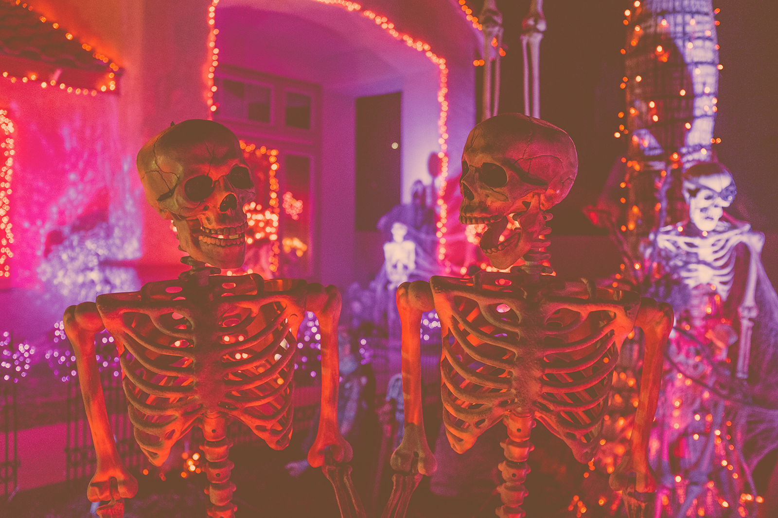 Halloween themed celebration